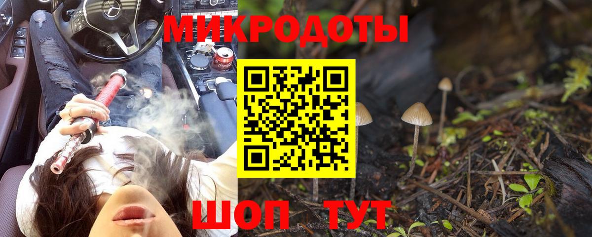 Псилоцибиновые грибы Psilocybe Котовск